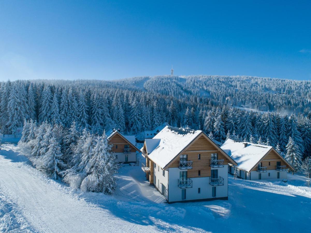 Ski Chalet Klinovec Loucna pod Klinovcem Exterior photo