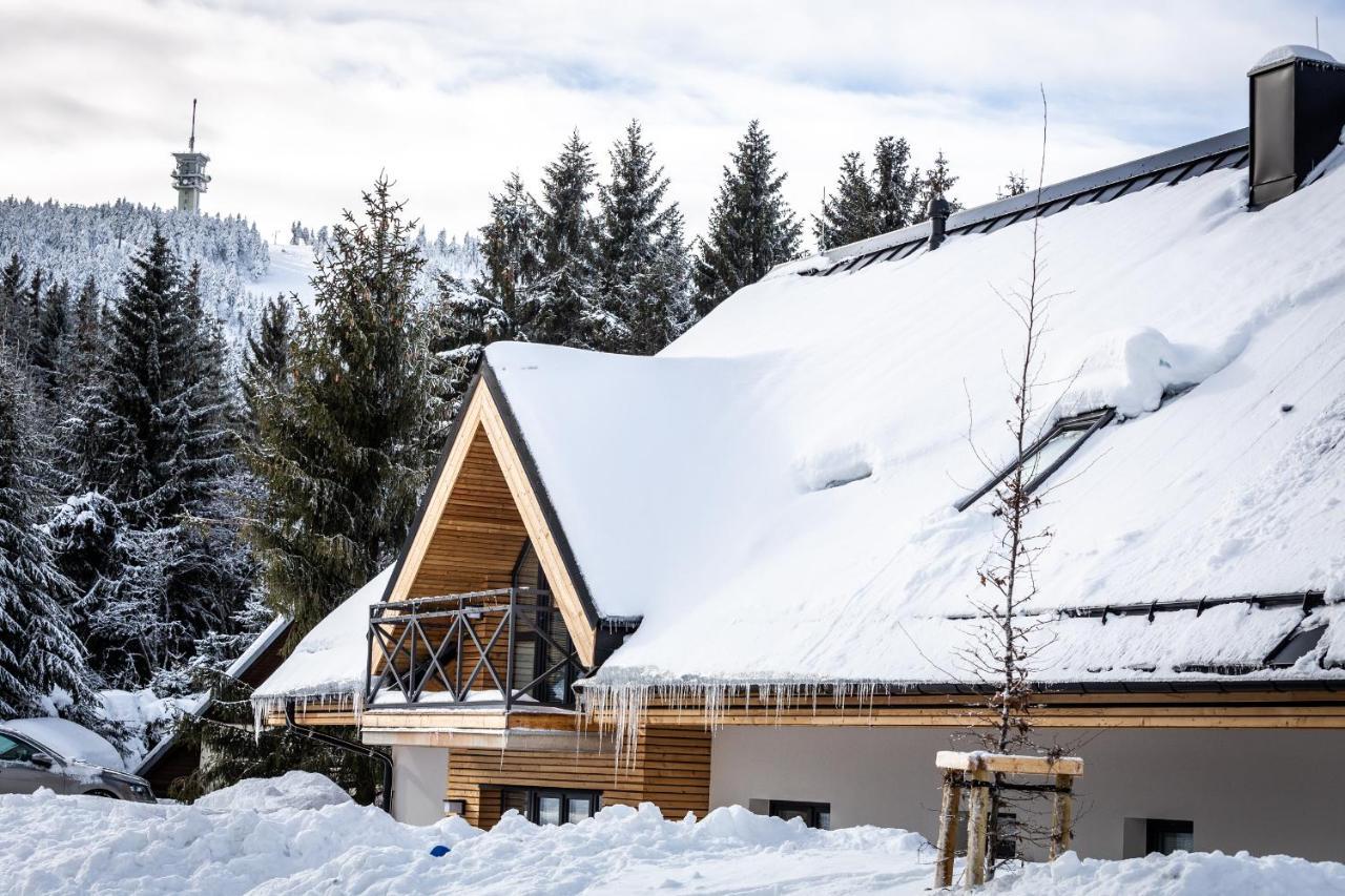 Ski Chalet Klinovec Loucna pod Klinovcem Exterior photo
