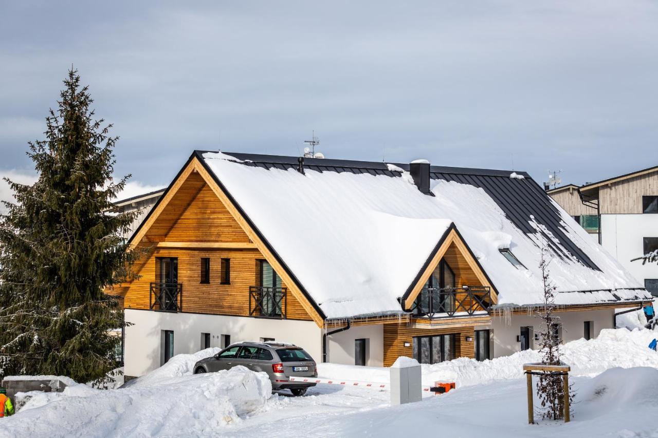 Ski Chalet Klinovec Loucna pod Klinovcem Exterior photo