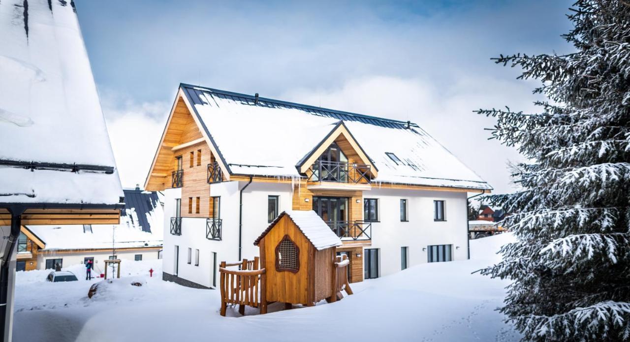Ski Chalet Klinovec Loucna pod Klinovcem Exterior photo