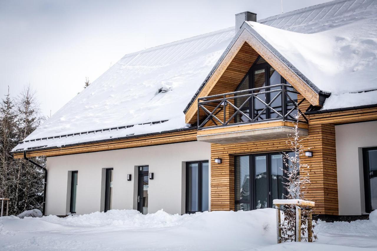 Ski Chalet Klinovec Loucna pod Klinovcem Exterior photo