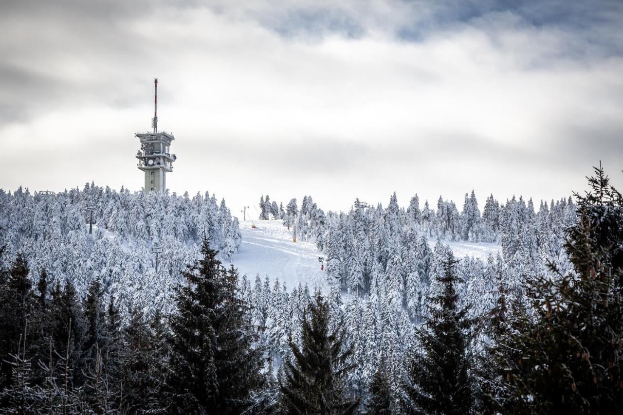 Ski Chalet Klinovec Loucna pod Klinovcem Exterior photo