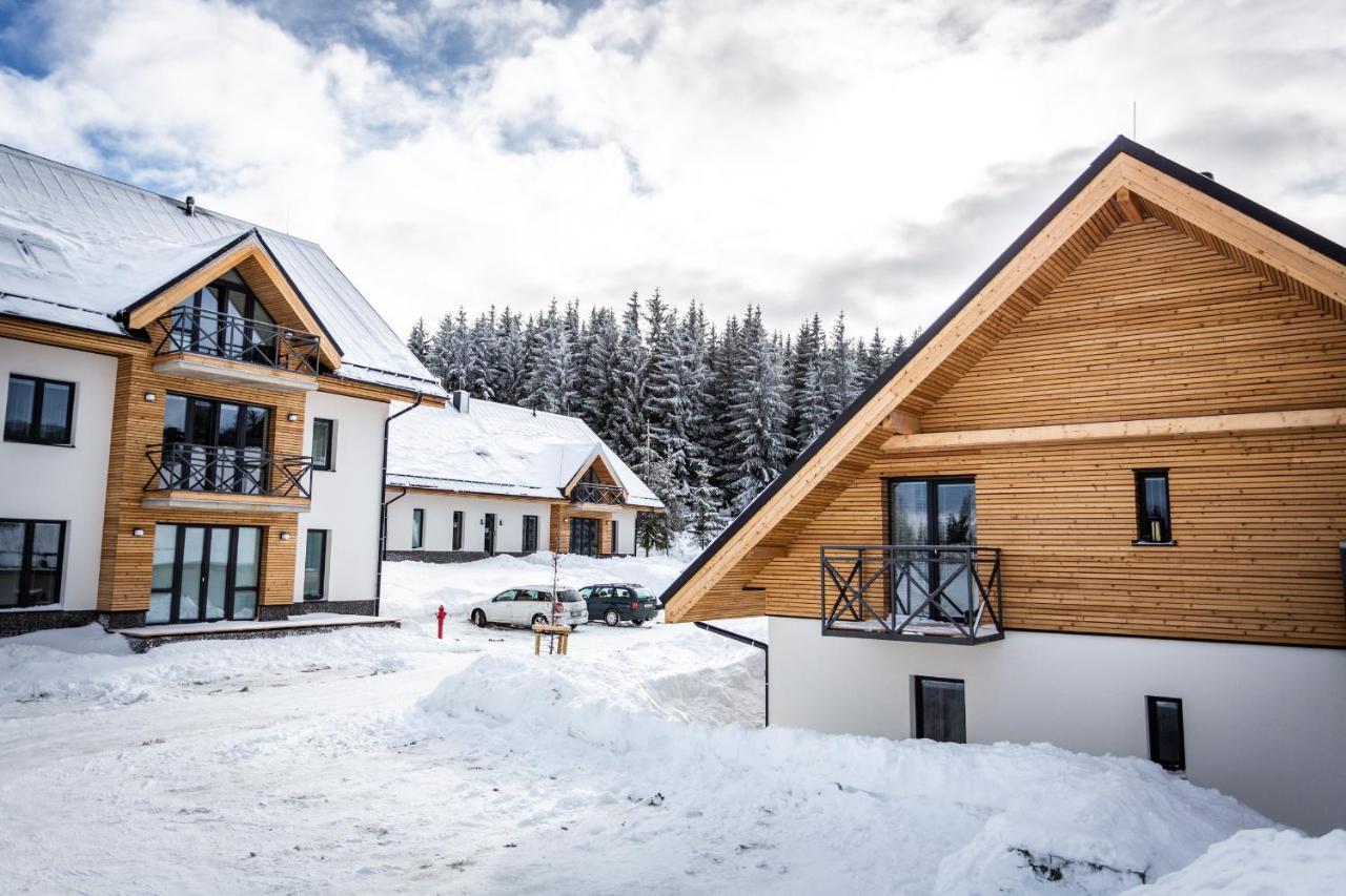 Ski Chalet Klinovec Loucna pod Klinovcem Exterior photo